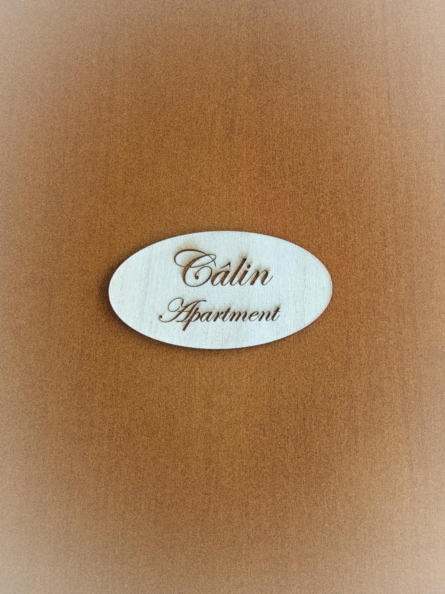 Calin Apartment Turín Exterior foto